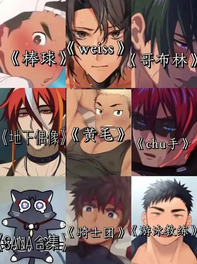 《Sana动漫》1080P超清全集｜沉浸式体验《Sana动漫》哥布林洞窟与不良少年的情感世界｜百度网盘资源