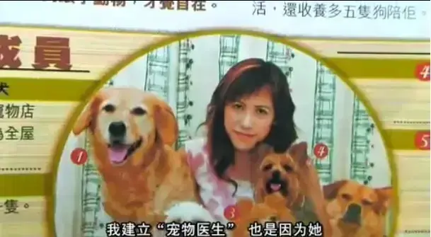 《女人与狗》立即观看！《女人与狗》1080P超清画质网盘下载资源，UC网盘/夸克网盘/迅雷网盘多线路畅享