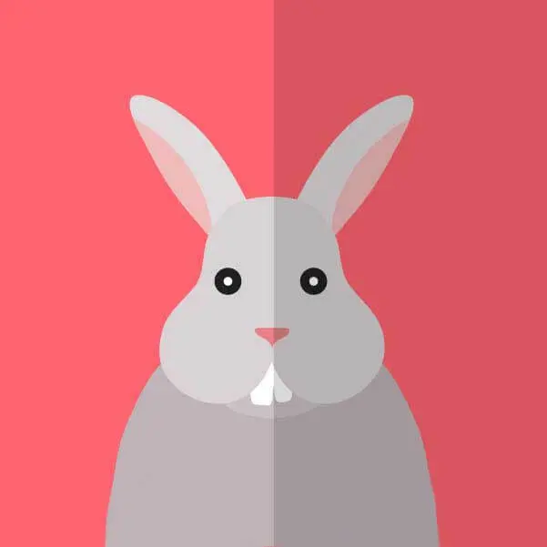 《性课程》 | 2025韩剧 | 同性爱情故事 | 全集 | 1080P超清资源