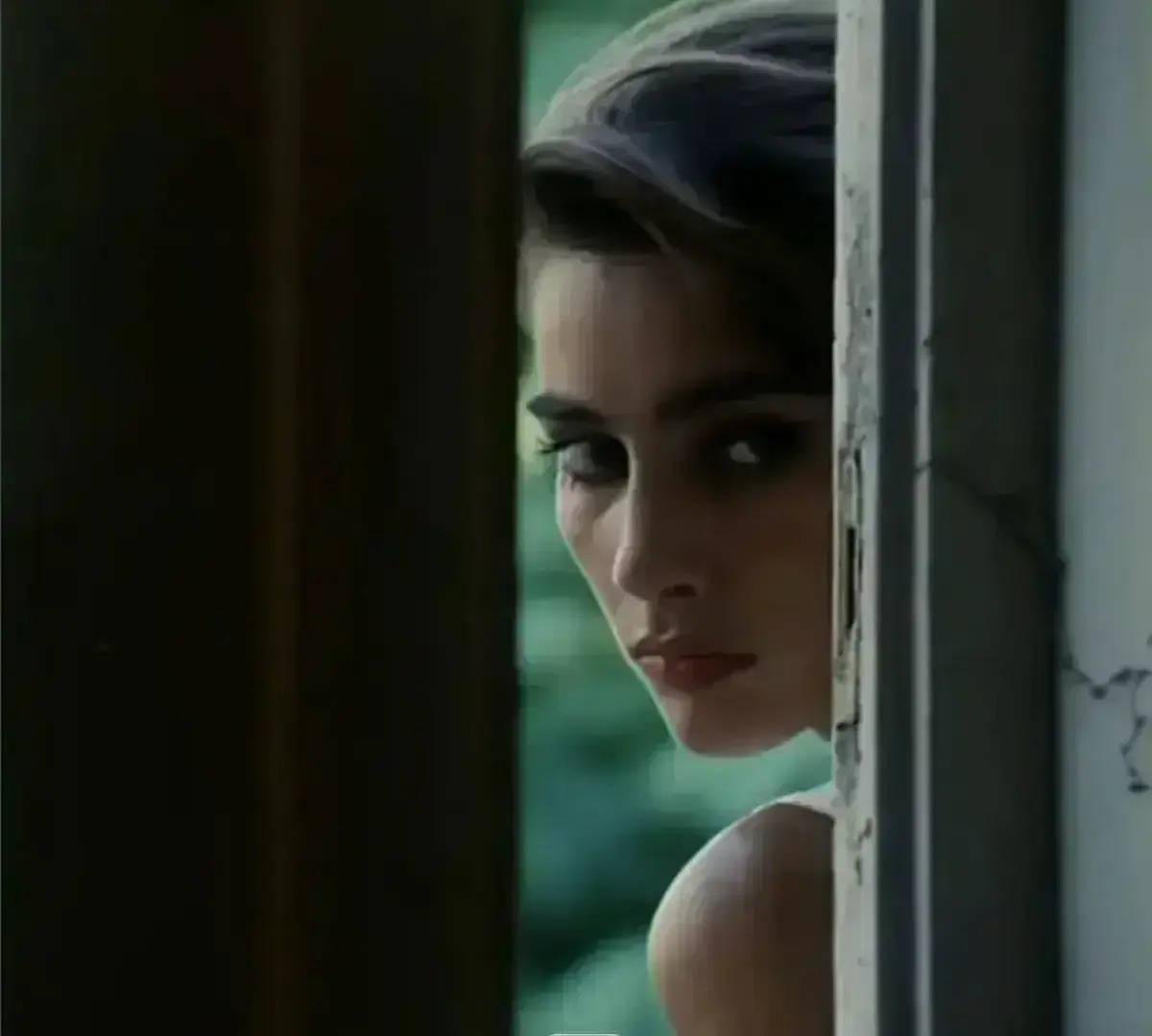 《激情丛林》完整版高清中字资源-《激情丛林》意大利电影无删减中文版在线观看-网盘播放下载