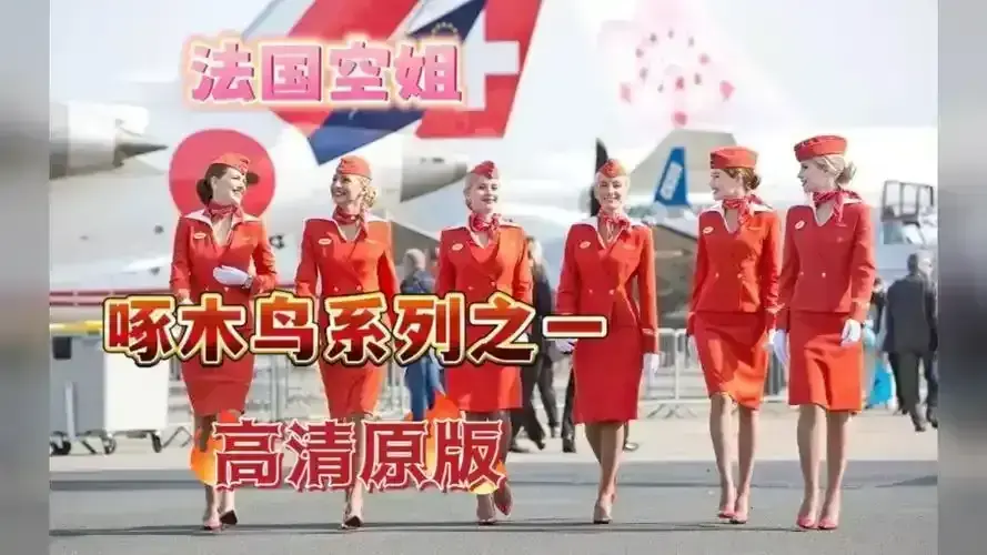 《法国空姐》三季全集未删减版百度网盘资源下载-《法国空姐》高清4K超清法语原音蓝光资源迅雷网盘播放